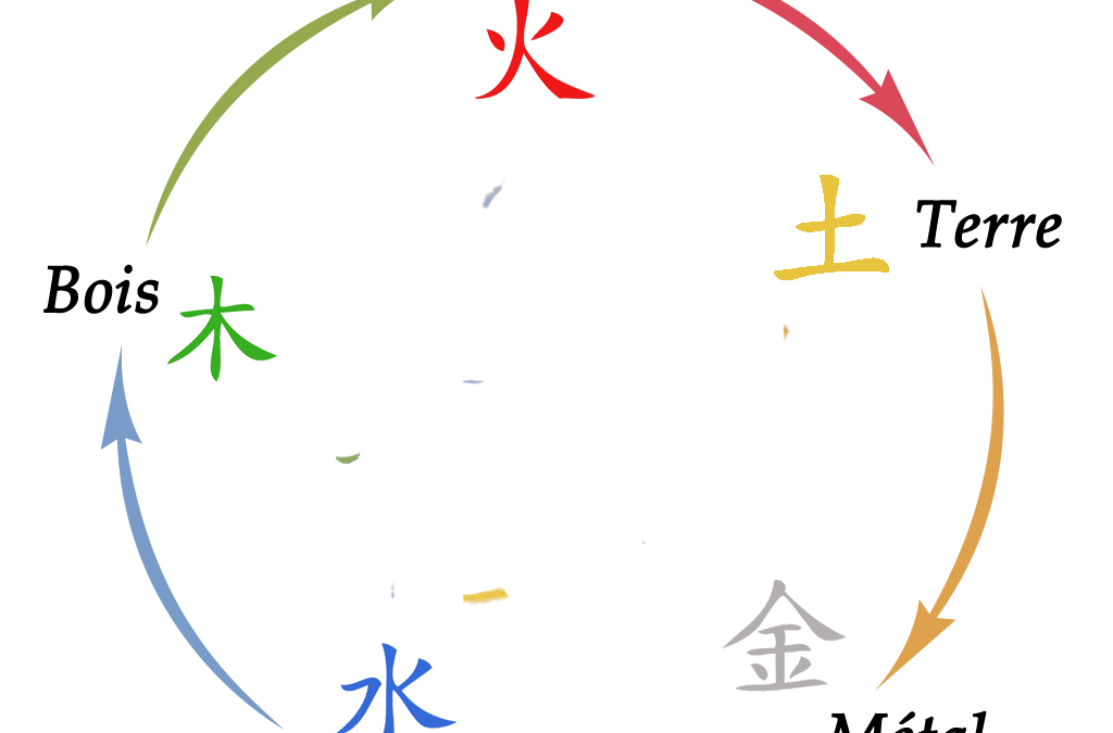 Les 5 éléments de Médecine Traditionnelle Chinoise